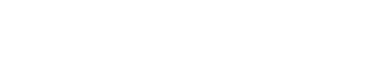 logo-austin
